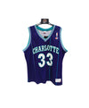 Charlotte Hornets NBA Basketball Jersey 1990s (XL) 33 Mourning