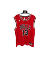 Chicago Bulls NBA Basketball Jersey 2014 (M) 13 Noah