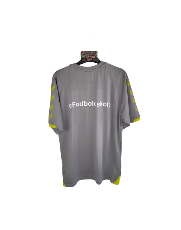 Denmark Training Football Shirt 2010s (L)