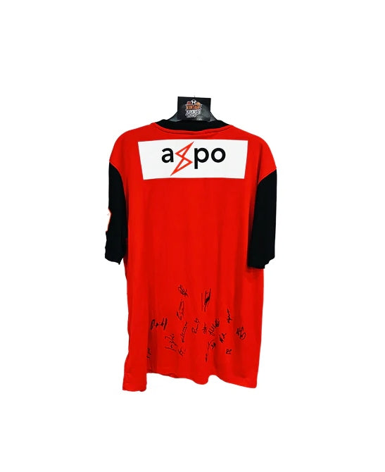 FC Aarau Signed  Home Football shirt 2014-2015 (L)