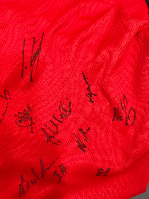 FC Aarau Signed  Home Football shirt 2014-2015 (L)