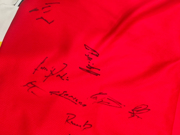 FC Aarau Signed  Home Football shirt 2014-2015 (L)