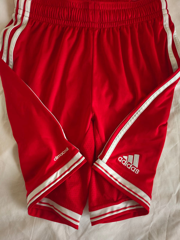 FC Bayern Munich Home Football Shorts 2013-2014 (S)