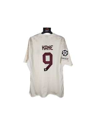 Descriptive image text