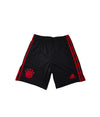 FC Bayern Munich Third Football Shorts 2022-2023 (Youths)