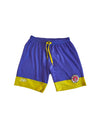 FC ST Pauli Training Football Shorts 2010s (Youths)
