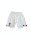 Liverpool FC Away Football Shorts 2015-2016 (Youhts)