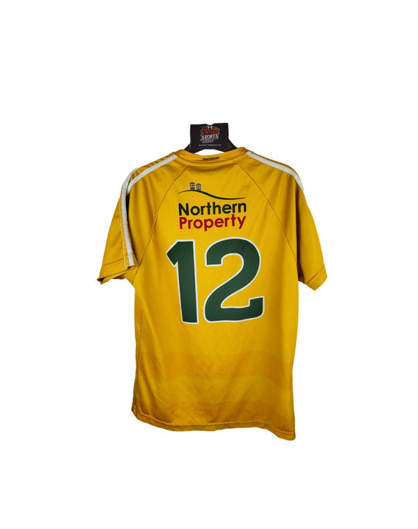 Matchworn Antrim GAA Gaelic Home Shirt 2000s (M) #12