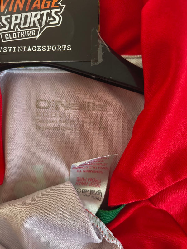 Mayo GAA Gaelic Away Shirt 2012 (L)