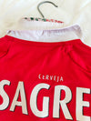 SL Benfica Home Football Shirt 2012-2013 (M)