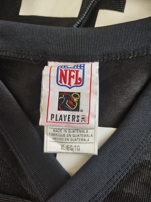 Pittsburgh Steelers NFL Jersey Polamalu